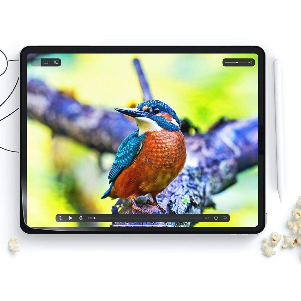 iPad Pro 11" (2025 / 2024) HOFI Paper Pro+ Beskyttelsesfilm - Matt Gjennomsiktig