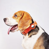 Hundehalsbånd med Holder for AirTag 1. & 2. Gen. - Størrelse S (30-37 cm) - Rød