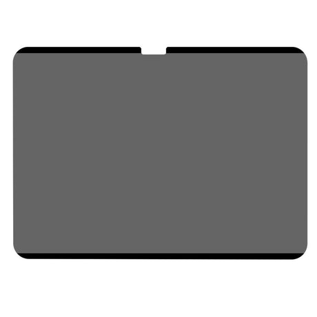 iPad Pro 11" (2025 / 2024) Papirtekstur PET Magnetisk Beskyttelsesfilm med Privacy